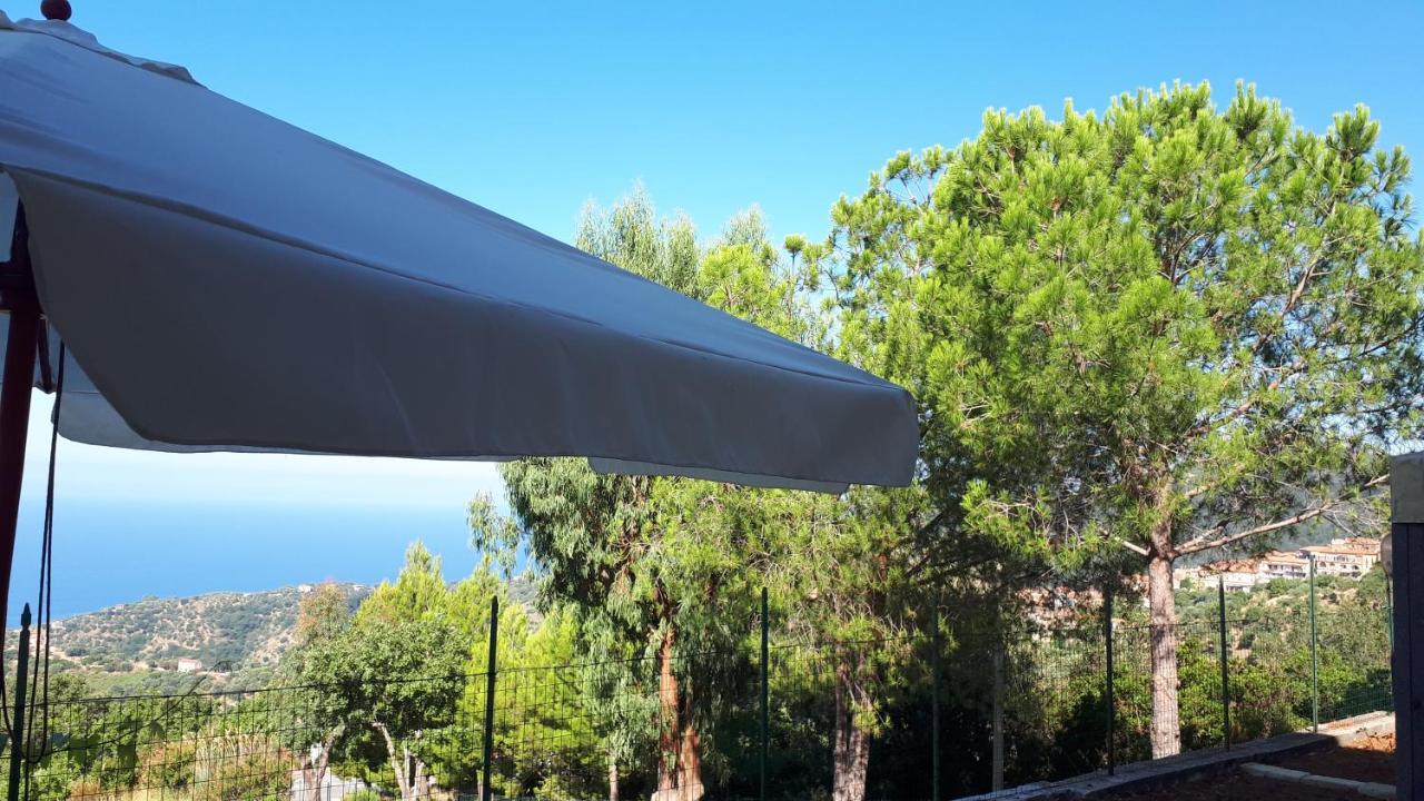 Le Pigne Casa Vacanze. Pollica Luaran gambar